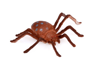 Colorful Plastic Toy Spiders on White Background