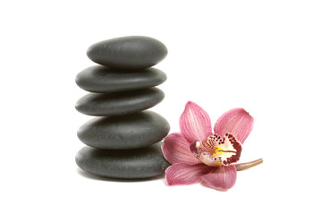 beautiful pink orchid and stones tower