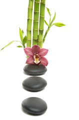 Obraz na płótnie Canvas Spa concept.-bamboo grove and orchid on pebble