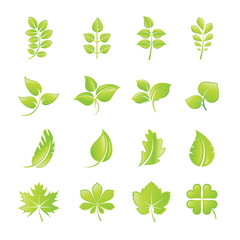 Set of green leaf icons