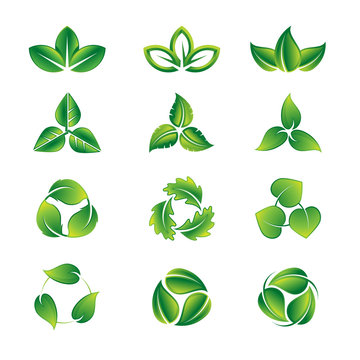 Green leaves vector icon set