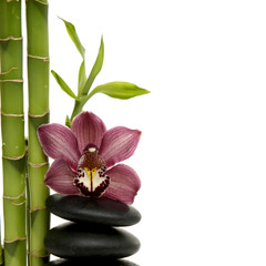 Fototapeta na wymiar bambusowy gaj i oddział orchidea na ułożone kamienie