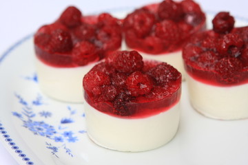 Himbeer-Joghurt-Törtchen