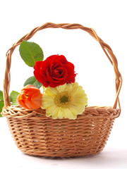 BASKET WHIT FLOWERS - KOSZ Z KWIATAMI © adamraga