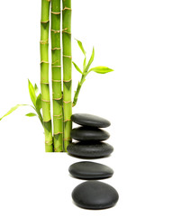 Obraz na płótnie Canvas młody zielony bambus i stosem kamieni czarny