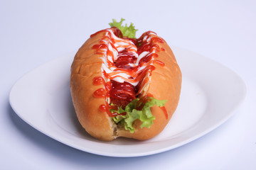 delicious hot dog on a white background with plate