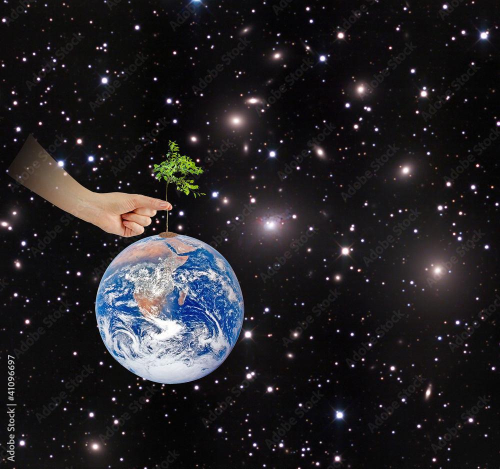 Wall mural tree on earth as a symbol of conservation.elements of this image