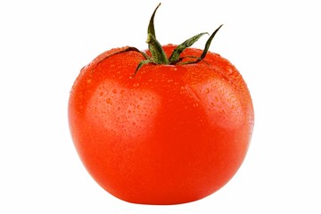 Tomato with dew drops