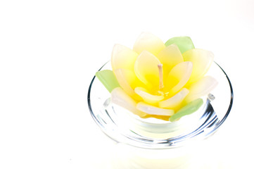 Lotus candle