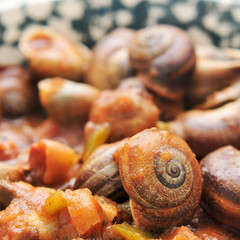 spanish cooked snails in sauce