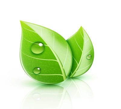 Ecology concept