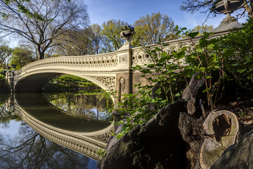 Naklejka premium Bow bridge in spring Central Park