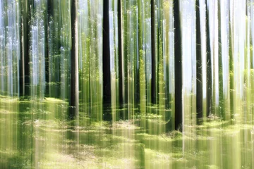 Fotobehang forest vertical motion blur © magann