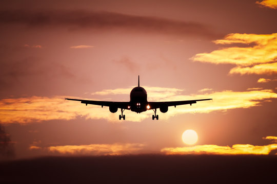 Fototapeta plane in the sunset sky