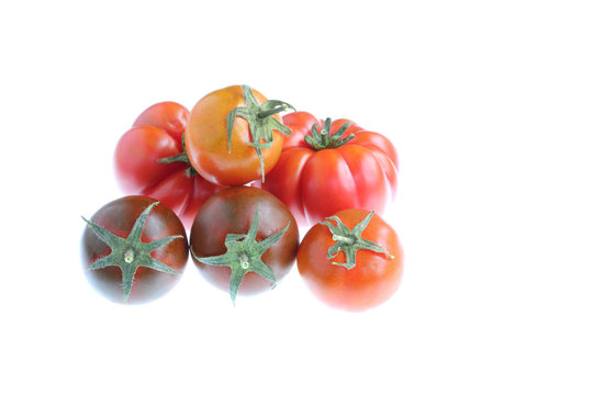 Tomato Selection