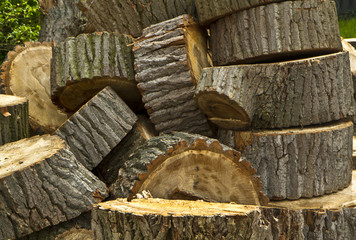 Wood Logs