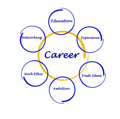 Diagram of career success