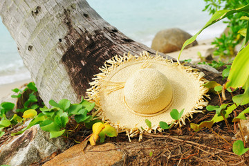 Hat on a beach