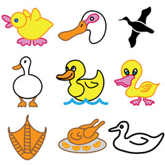 Obraz premium funny duck icons vector set