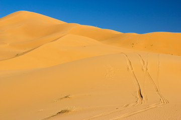 Dunes of Sahara desert in Morocco