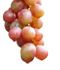 Closeup of fresh grapes