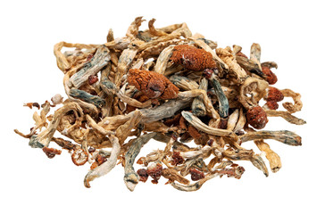 Obraz premium Pile of Magic Mushrooms