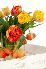 Bouquet double tulips