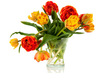 Orange and yellow tulips