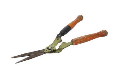 Old and rusty garden shears on a white background.