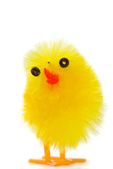 Macro shot of Easter chick isolated on white