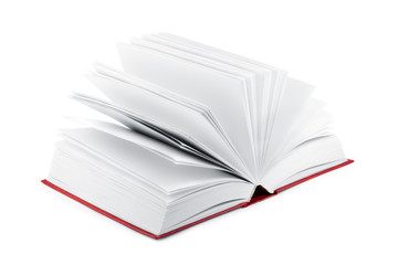 Open book with blank pages