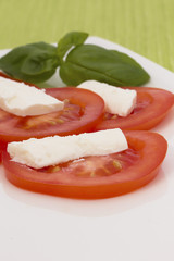 Salad of tomatoes, cheese and basil. Vertically.