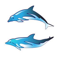 Blue dolphin silhouettes