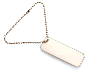 Army badges isolated on white