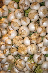 Unknown Vegetables onMarket in Budapest Hungary