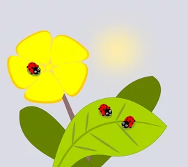Fotobehang Lieveheersbeestjes Drie schattige lieveheersbeestjes en een gele bloem