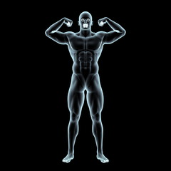 Obraz premium 人体
