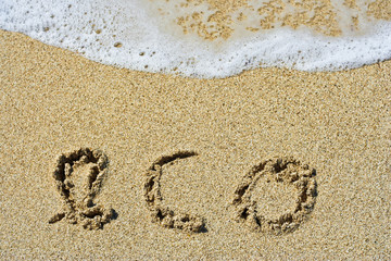 The word eco handwritten in sand on a beach