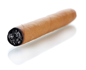 cigar isolated on white
