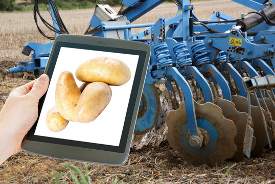 potatoes and agriculture