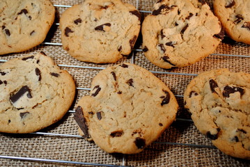 Lots of Cooling Cookies