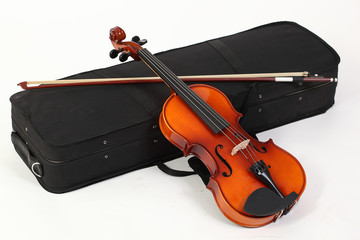 Violin