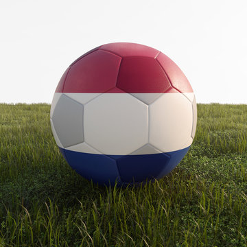 netherland soccer ball isolated on grass