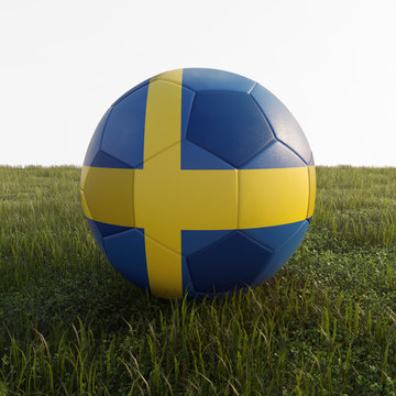 sweden soccer ball isolated on grass