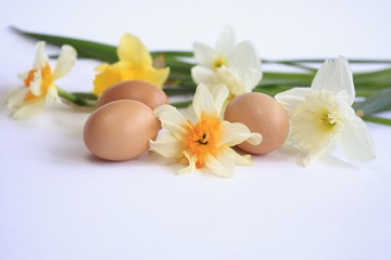 Fototapeta na wymiar Organic eggs