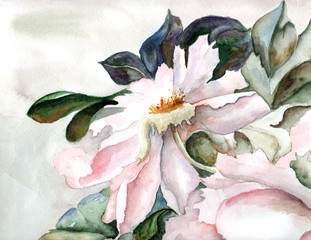 Obraz Różowy Kwiat