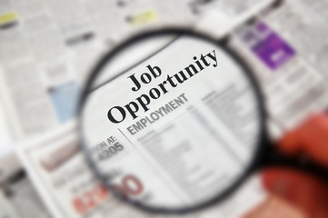 Magnifying glass over  "Job Opportunity" text
