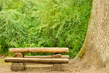 empty log bench with green background in forest