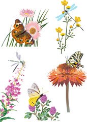collection of insects on flowers