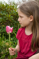 pink flower